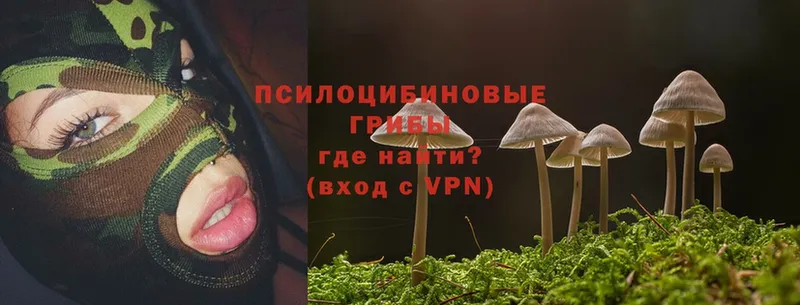 как найти закладки  Алексеевка  Галлюциногенные грибы Cubensis 